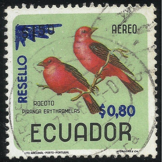Ecuador A- 490 1967 Aéreo Pájaro Bird Fauna Rocoto Piranga Usado Ecuador A- 490 1967 Aéreo Pájaro Bird Fauna Rocoto Piranga Usado