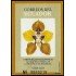 Ecuador Hojita Block 143 2006 Flores Flowers Orquídea orchid  MNH