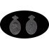 Marruecos 1916 Alfonso XIII  Para Oficiales Plata