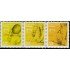 Upaep Costa Rica 776/78 2005 Lucha contra la pobreza MNH