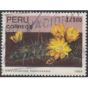 Perú 909 1989 cactus Corryocaptus  huincoensis Usado