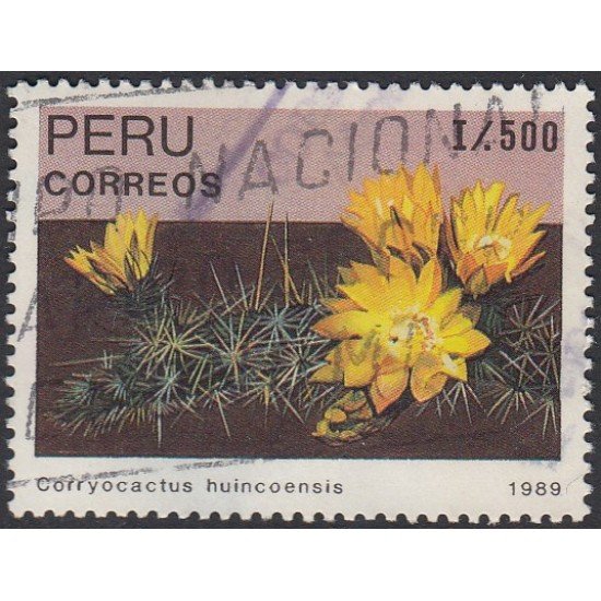 Perú 909 1989 cactus Corryocaptus huincoensis Usado Perú 909 1989 cactus Corryocaptus huincoensis Usado