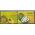 Perú 1543/44 2006 Flora Frutas peruanas fruit  MNH