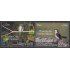 Perú 1987 2011 Fauna en peligro de extinción Pájaros Birds MNH