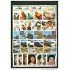 Cuba  2001 Año completo Year complete MNH