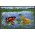 Colombia HB 50 2002 Fauna  Ranas MNH
