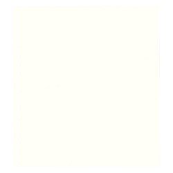 Lindner 802o Hojas Permaphil Cartulina Blanca 174 x 215mm