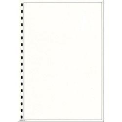 Lindner 804  Hojas Permaphil Cartulina Blanca 210 x 297 mm