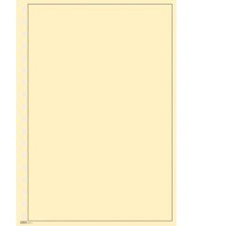 Lindner 804b Hojas Permaphil Cartulina crema 210 x 297 mm