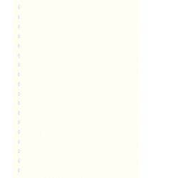 Lindner 804o Hojas Permaphil Cartulina Blanca 210 x 297 mm