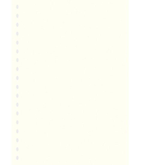 Lindner 804o Hojas Permaphil Cartulina Blanca 210 x 297 mm