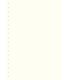 Lindner 804o Hojas Permaphil Cartulina Blanca 210 x 297 mm