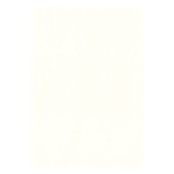 Lindner 804o Hojas Permaphil Cartulina Blanca 210 x 297 mm