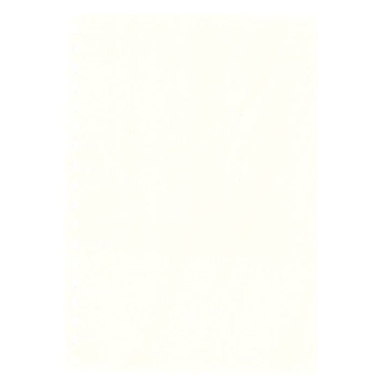 Lindner 804o Hojas Permaphil Cartulina Blanca 210 x 297 mm