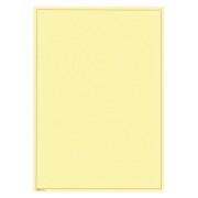 Lindner 805b Hojas Permaphil Cartulina crema 210 x 297 mm