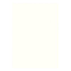 Lindner 805o Hojas Permaphil Cartulina Blanca 210 x 297 mm