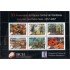 Honduras A- 1313/18 2007 100° del Banco de Honduras MNH