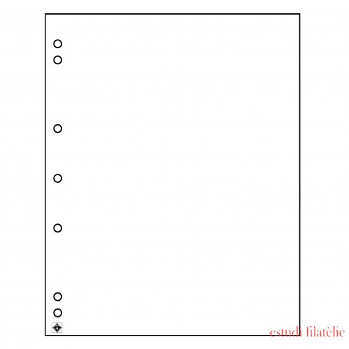 Leuchtturm 336293 Hojas separadoras NUMIS, blanca, paquete de 10