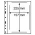 Leuchtturm 338227 Hojas de plástico OPTIMA, 1 división para FDCs, transparentes