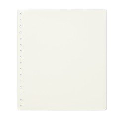 Leuchtturm 338570 KABE Hojas de álbum neutras de cartulina extra fuerte sin preimpresión