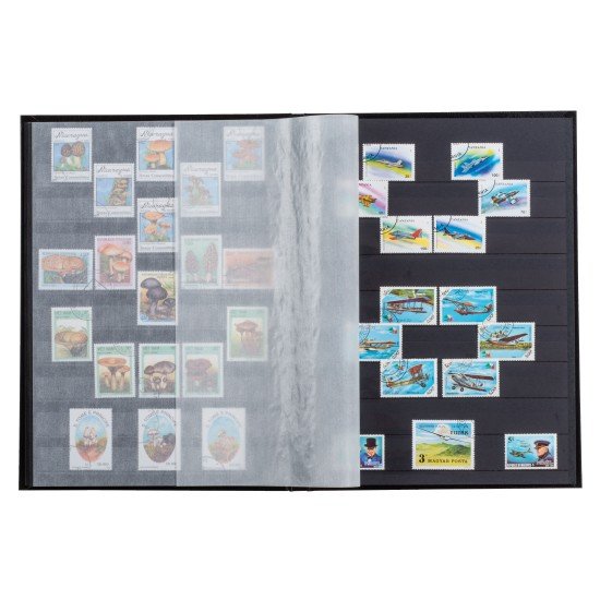Leuchtturm 339367 Clasificador BASIC, DIN A5, 32 páginas negras, tapa no acolchada, negro