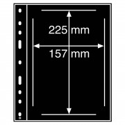 Leuchtturm 359331 Hojas de plástico OPTIMA, 1 división para FDCs, negro