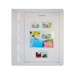 Leuchtturm 361035 LEUCHTTURM Suplemento-SF Canadá Quarterly Packs 2018 Leuchtturm 361035 LEUCHTTURM Suplemento-SF Canadá Quarterly Packs 2018