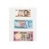 Leuchtturm 361477 Hojas de plástico OPTIMA EASY, 3 bolsa transversales, PP, claro, paquete de 50