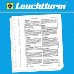 Leuchtturm 364602 LEUCHTTURM Suplemento-MEMO Alemania 2020 Leuchtturm 364602 LEUCHTTURM Suplemento-MEMO Alemania 2020