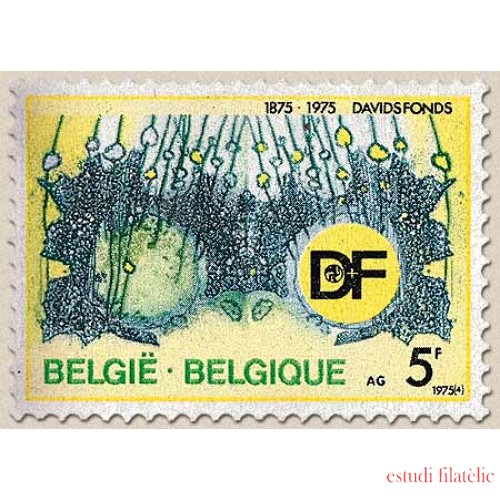 Bélgica - 1750 - 1975 Cent. de Davidsfonds Etnia flamenca Lujo